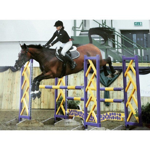 Caitlin-Hamilton