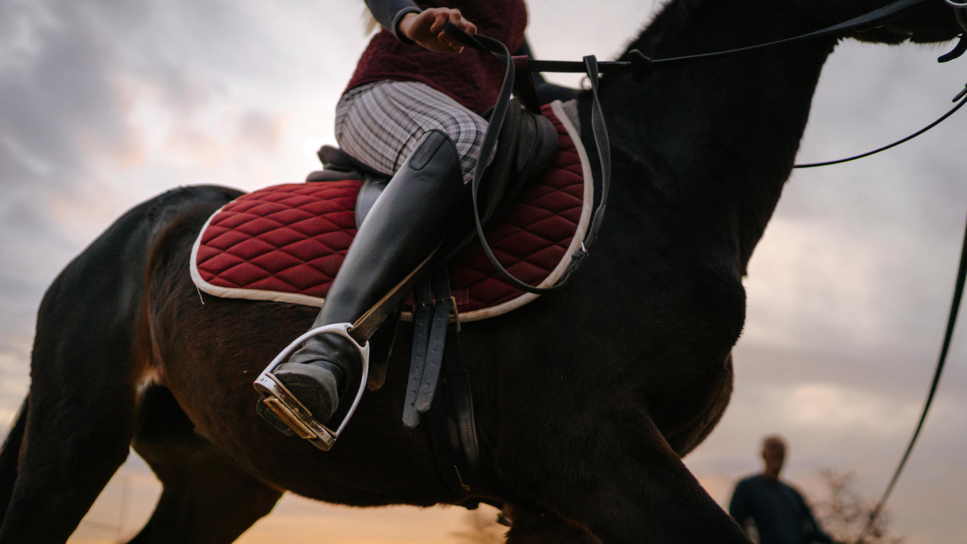 WB Equilines Brands