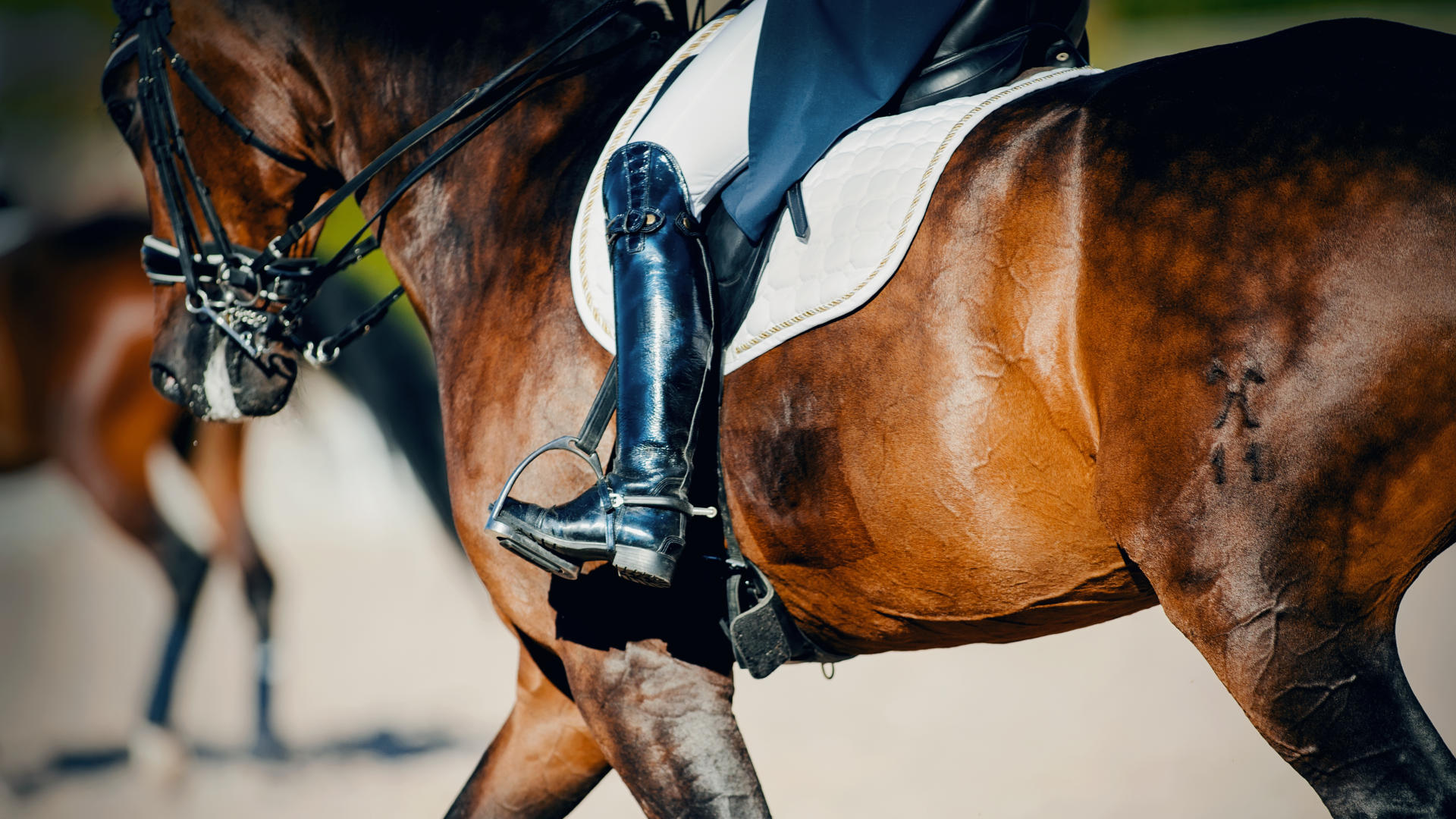 Free De Niro Boot Bag