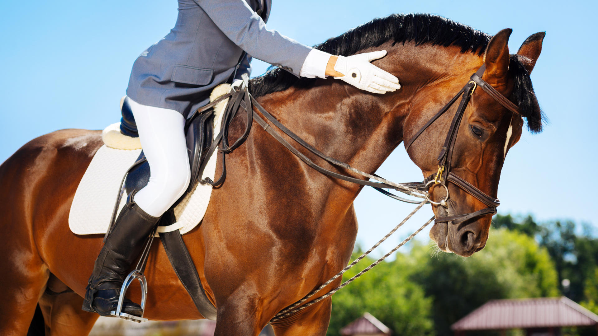 MakeBe has arrived at WB Equiline