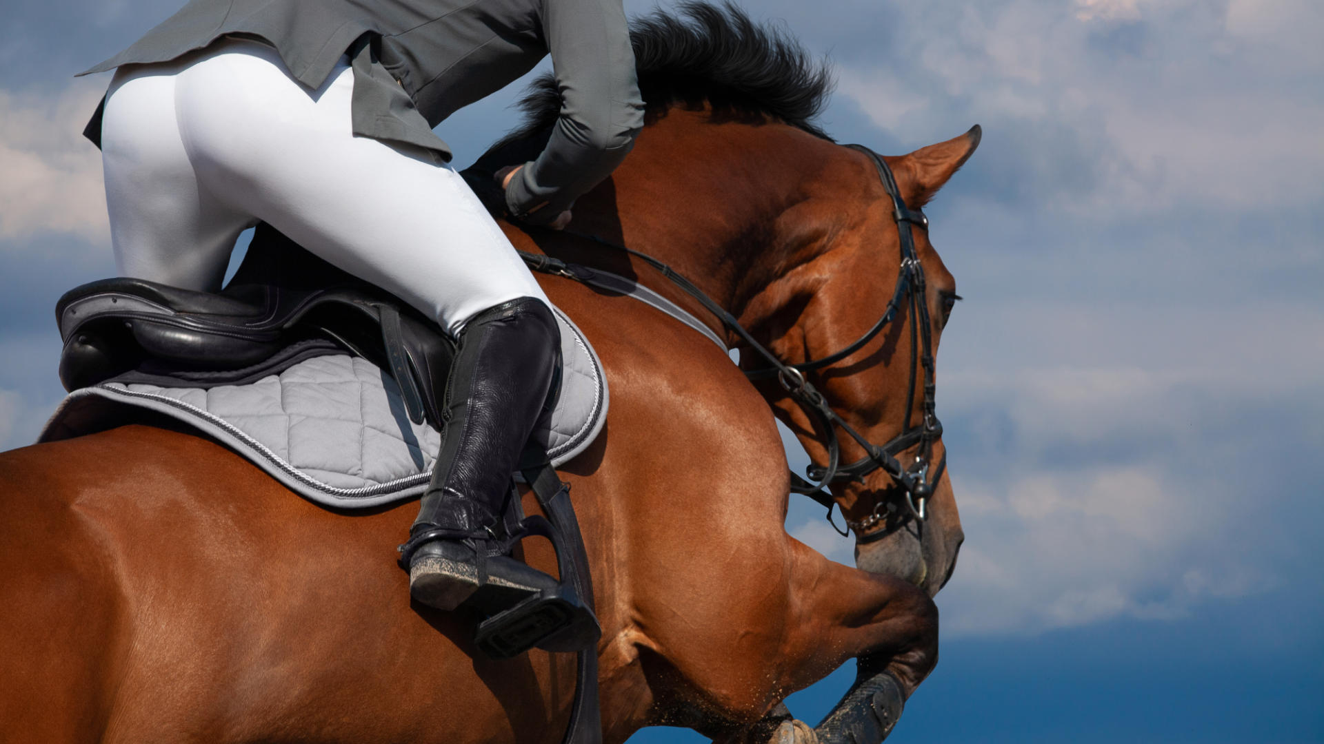 Animo SS19 has landed at WB Equiline
