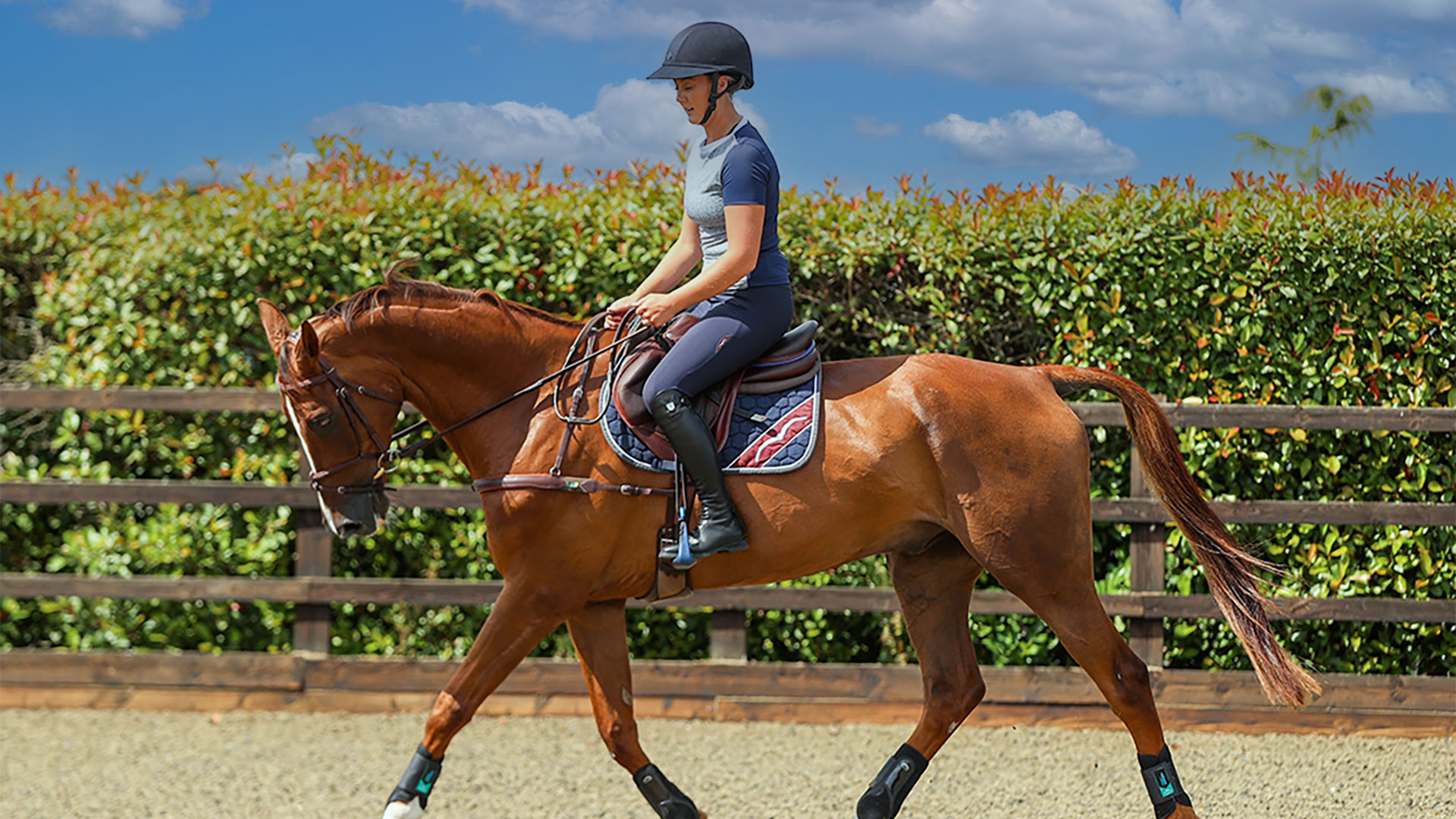 Animo Equestrian Clothing