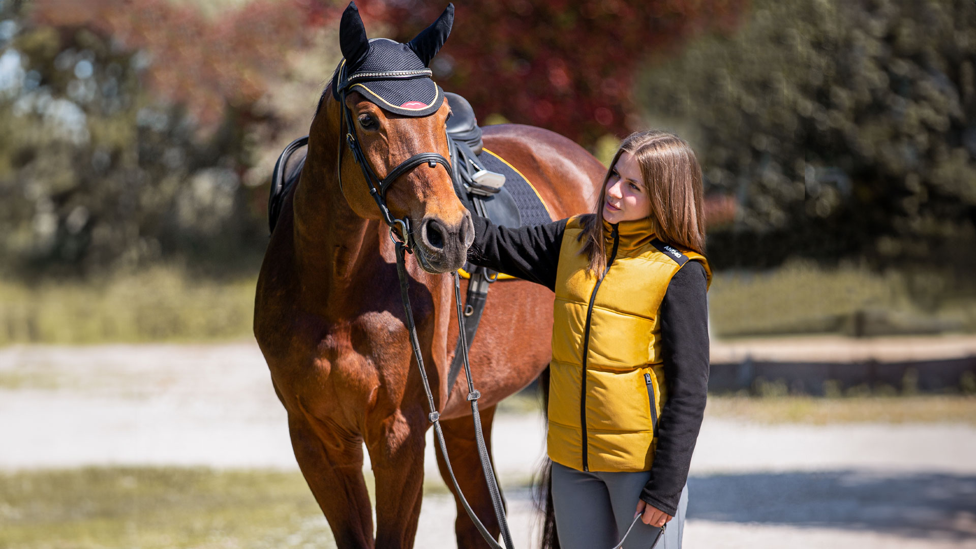 Equestrian Sale