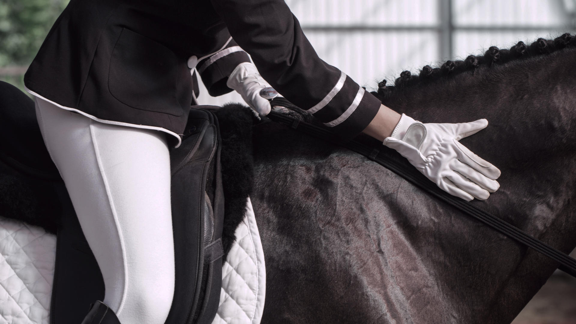 Royal Windsor Horse Show