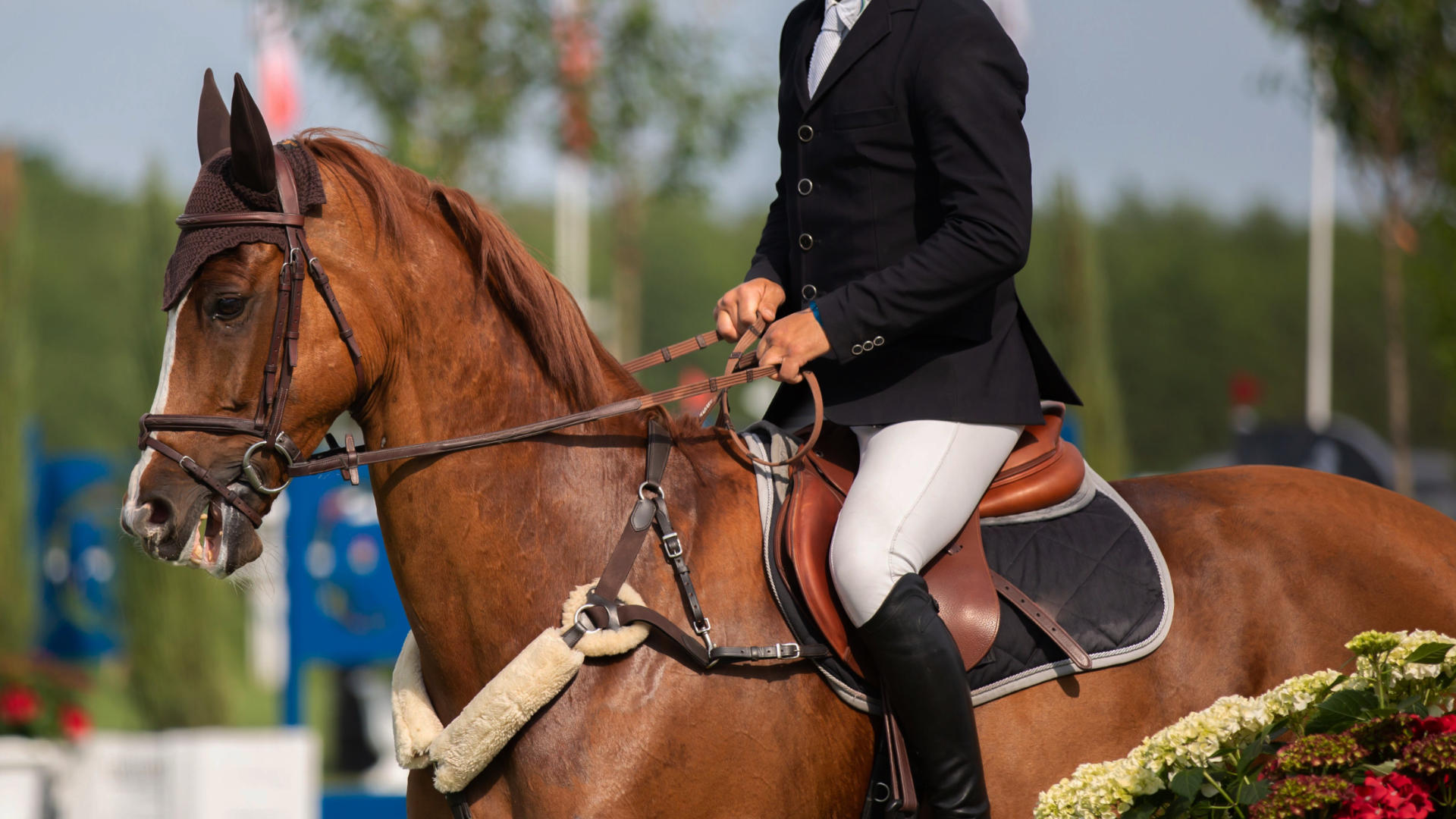 Wales and West June Show