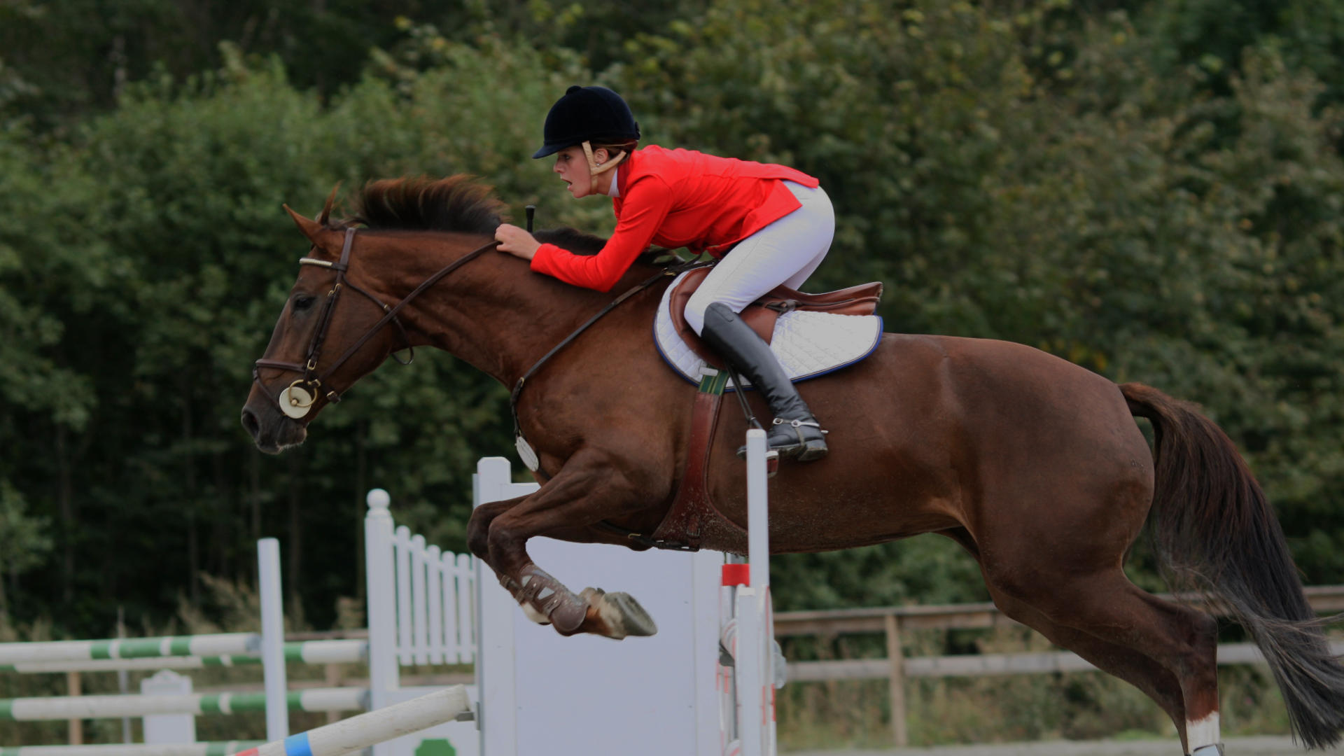 Bolesworth International Summer Festival