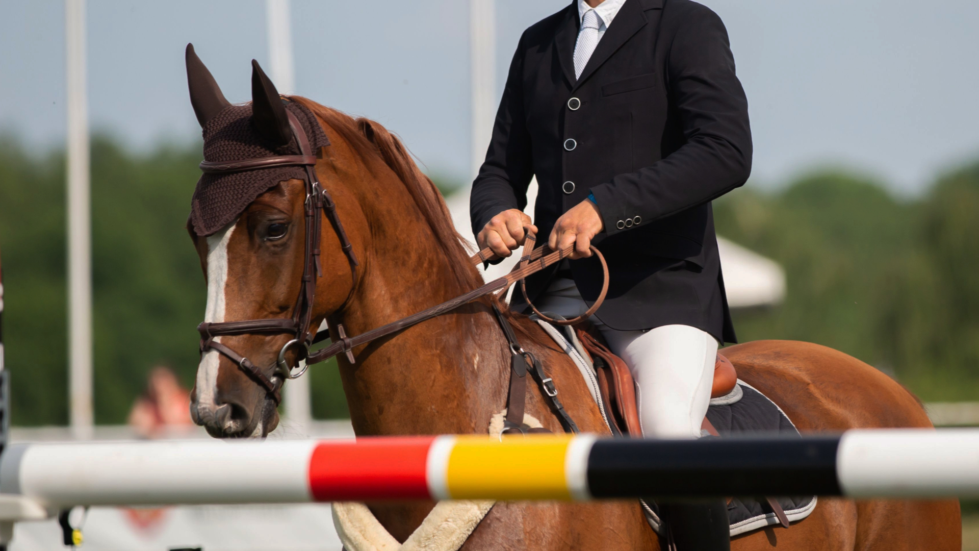 Arena UK Major Showjumping Championships