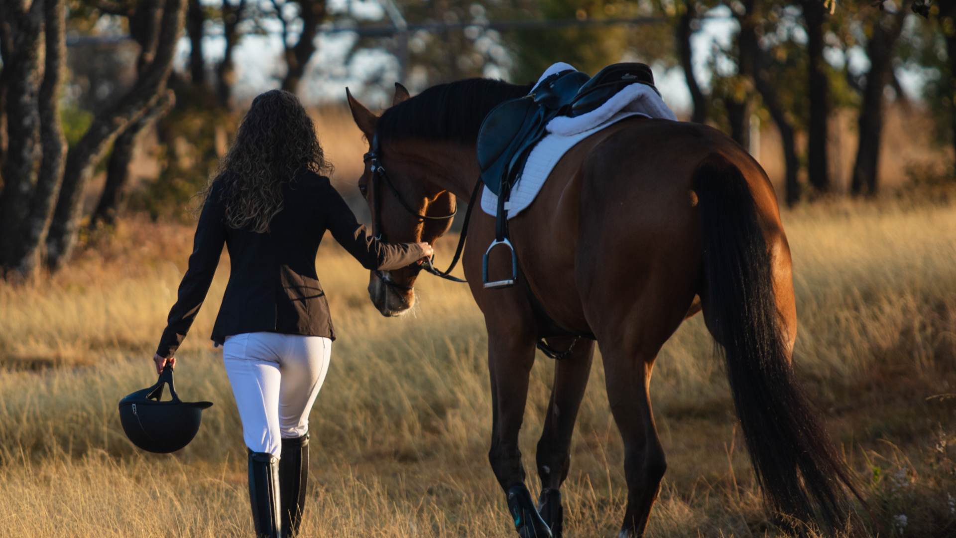 The Horse of the Year Show