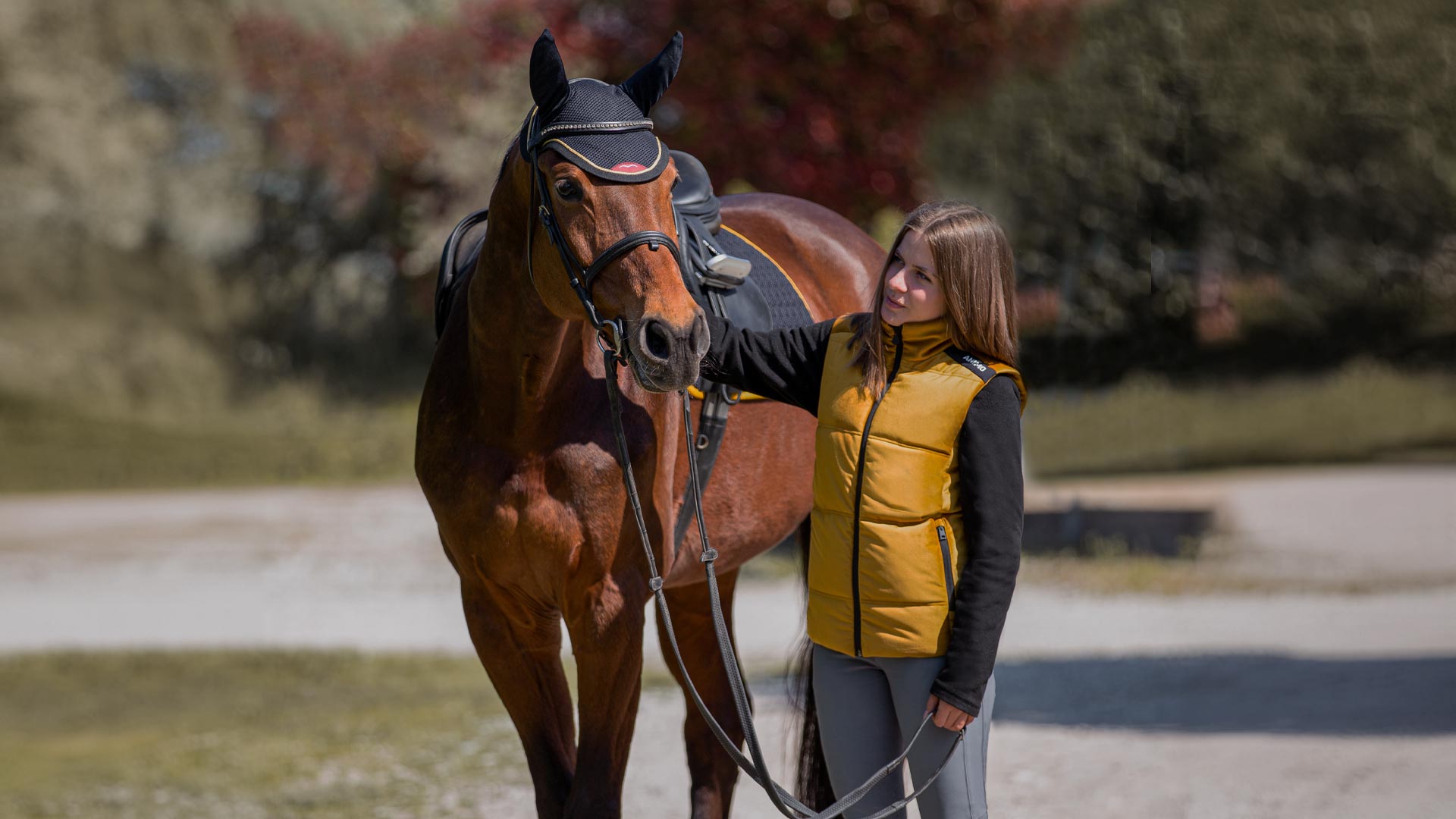 WB Equiline Equestrian Sale