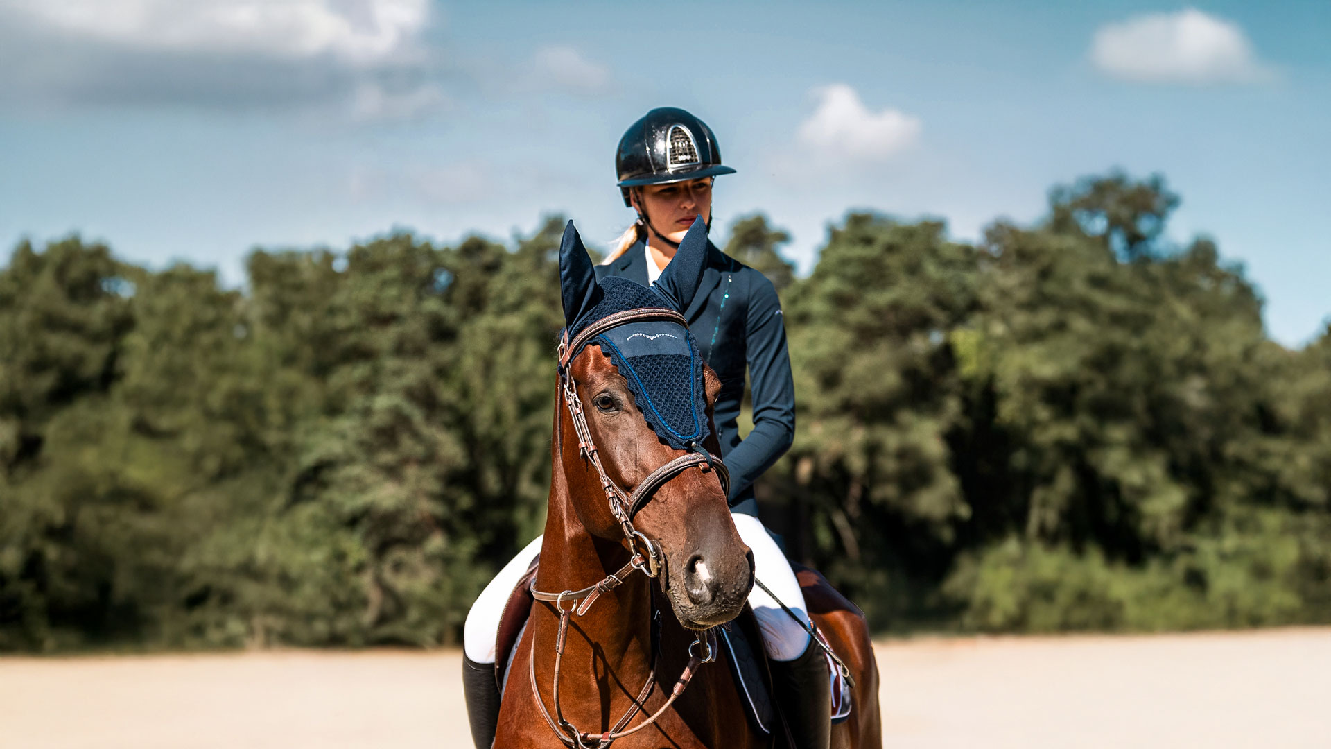 Valentines Day gift for the equestrian