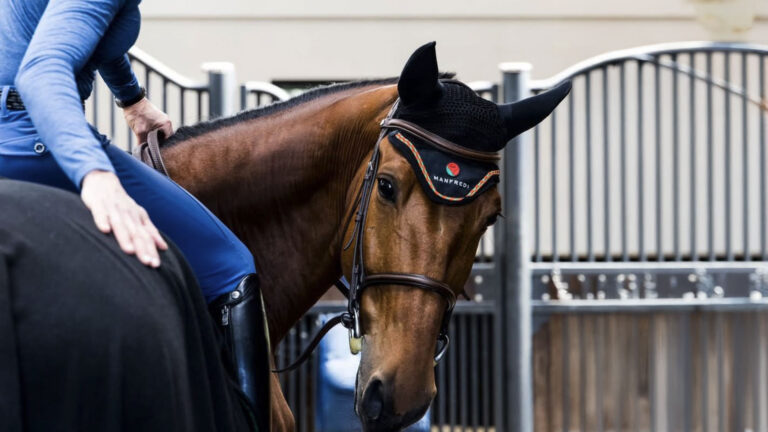 Manfredi Equestrian