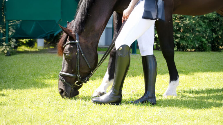 DeNiro Boots