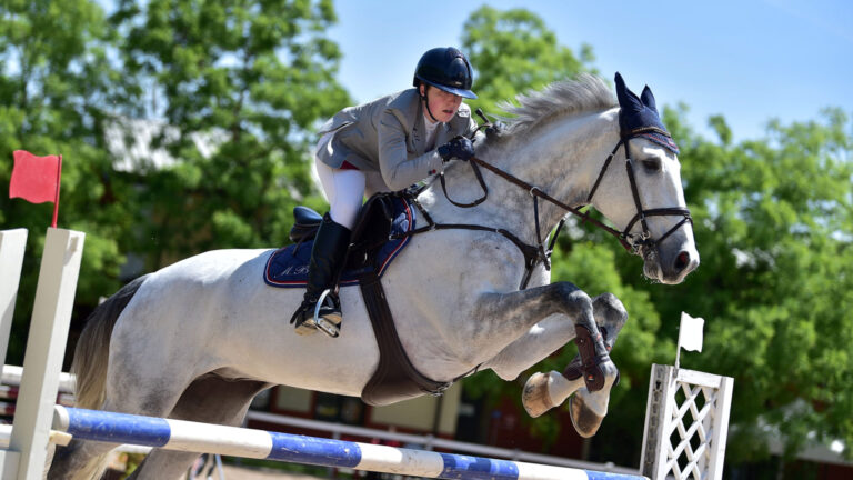 New to horse riding