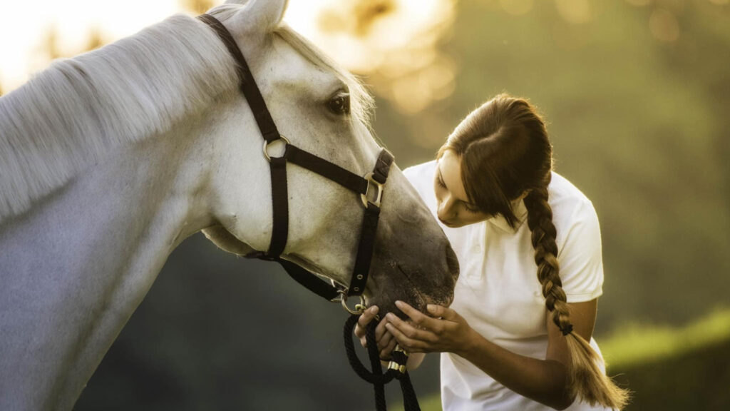 The importance of tendon boots and fetlock boots