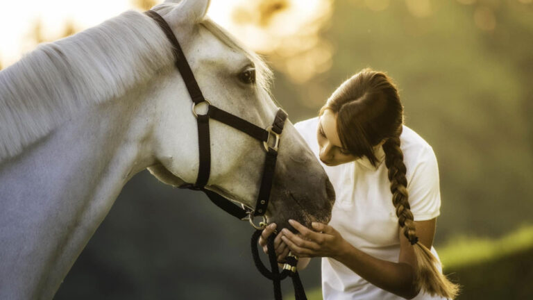 The importance of tendon boots and fetlock boots