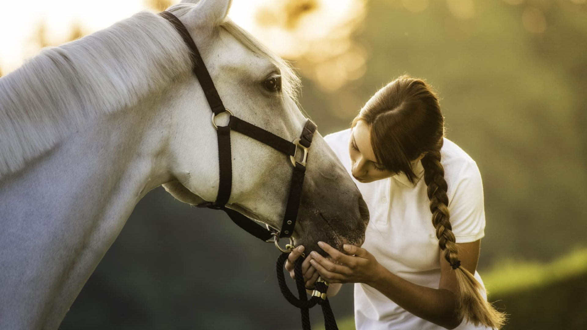 The importance of tendon boots and fetlock boots