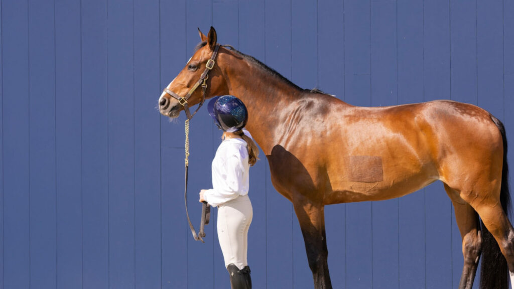 Who makes the best riding boots