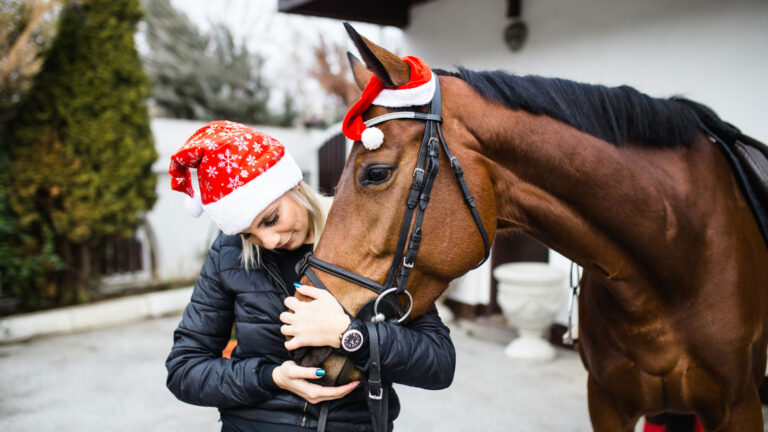 Christmas gifts for horse riders