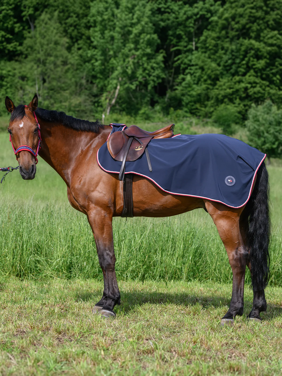 Tommy Hilfiger Equestrian Springfield Exercise Sheet- DESERT SKY - Image 5