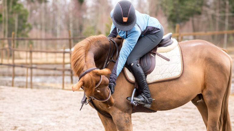 Equestrian clothing