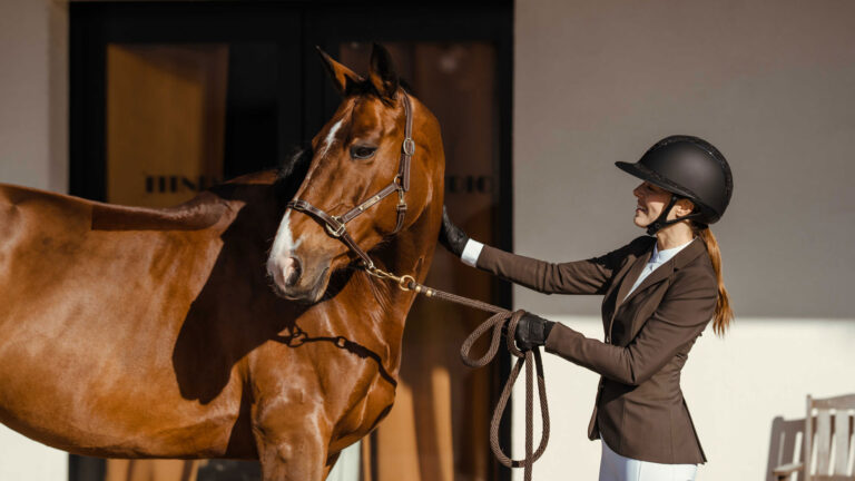 Trolle Company equestrian clothing