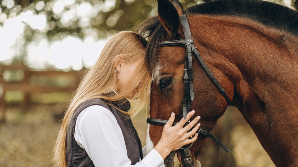 The joys of equestrianism