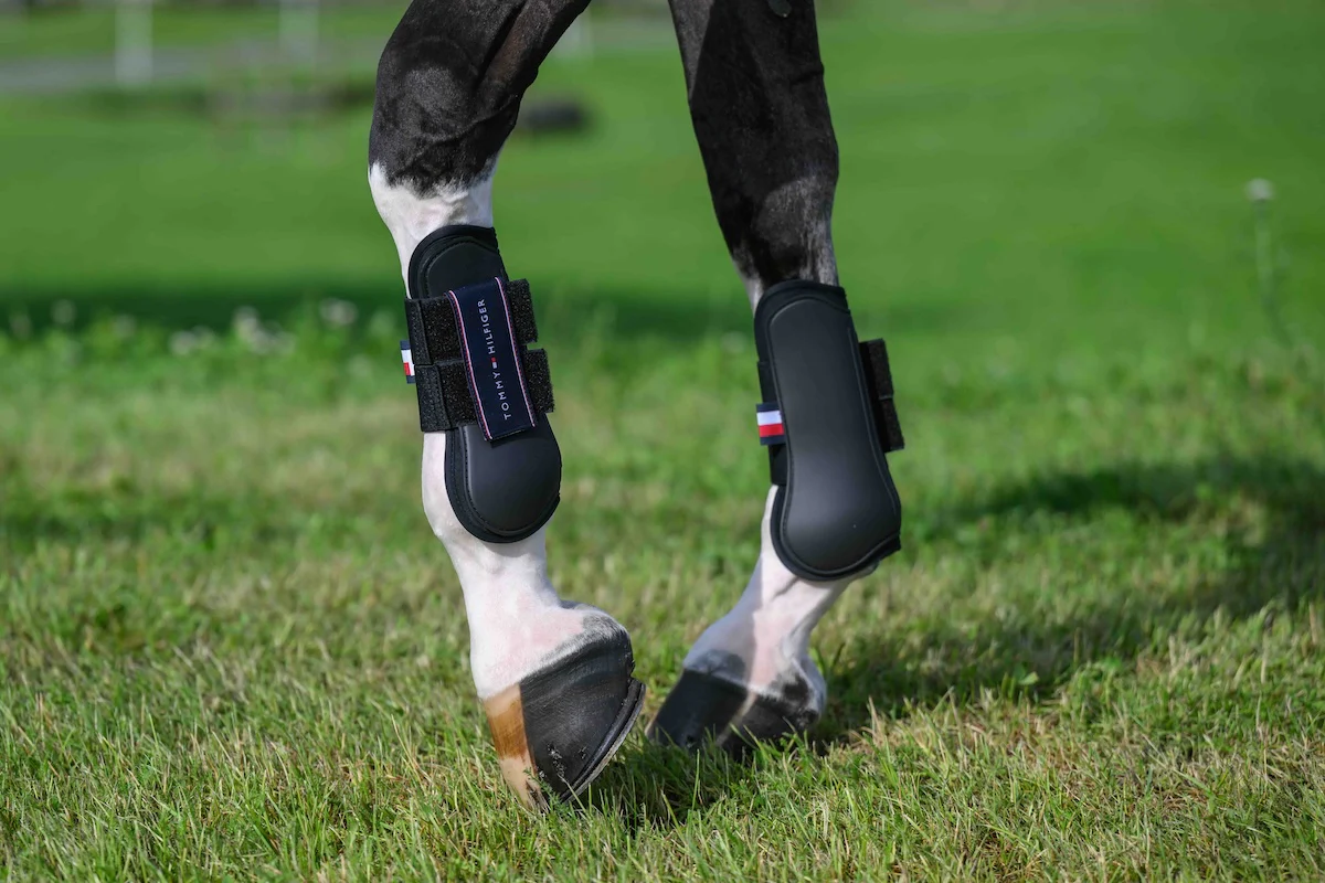 Tommy Hilfiger Equestrian Champion Tendon Boots - Black - Image 4