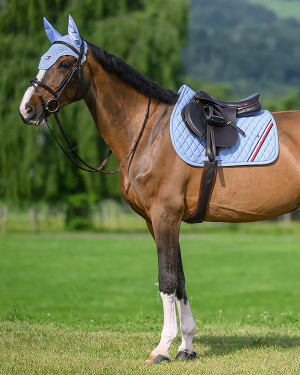 Tommy Hilfiger Equestrian Stanford Saddle Pad- SWEET BLUE - Image 4