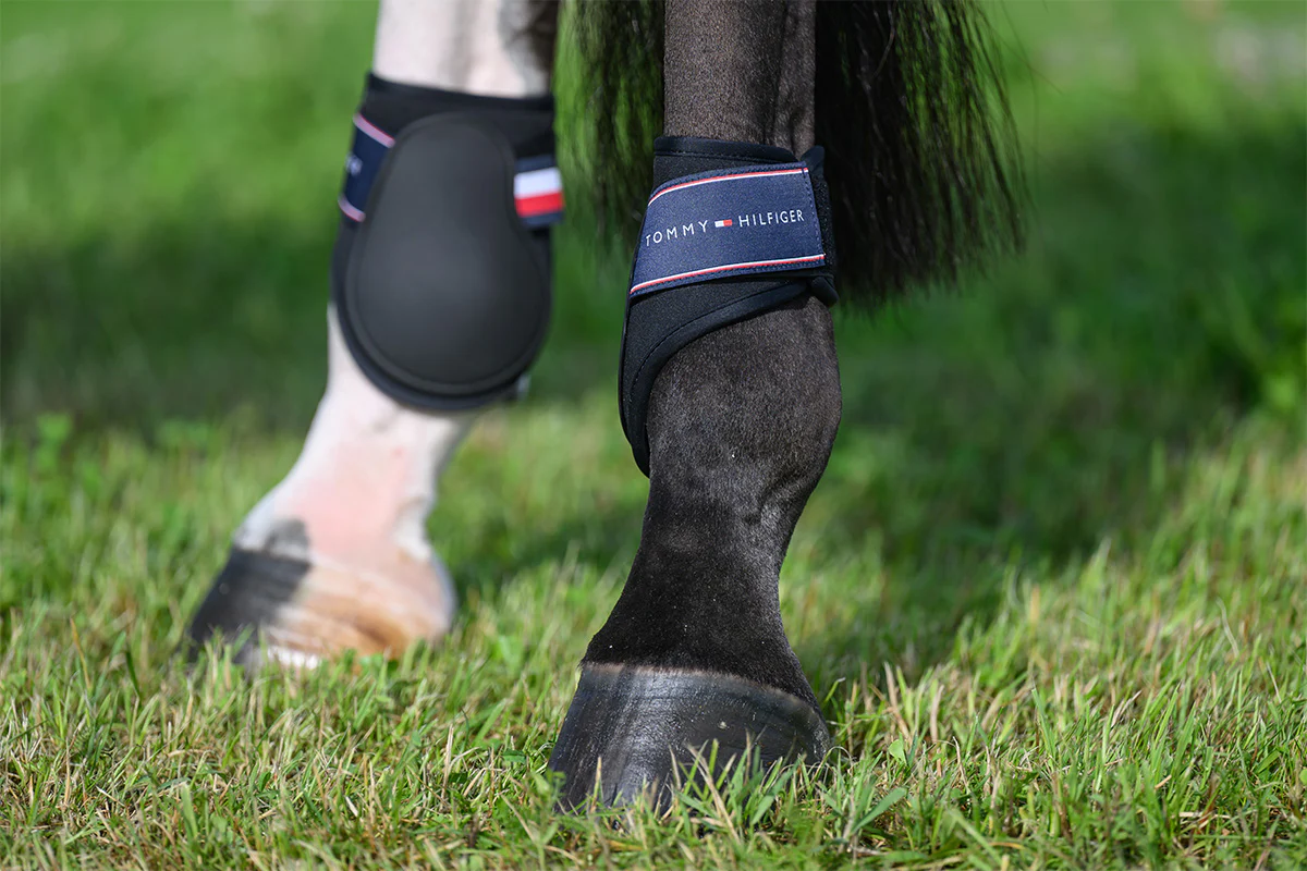 Tommy Hilfiger Equestrian Victory Fetlock Boots - Black - Image 4