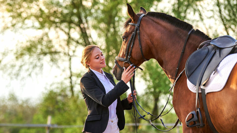 WB Equiline Horsewear