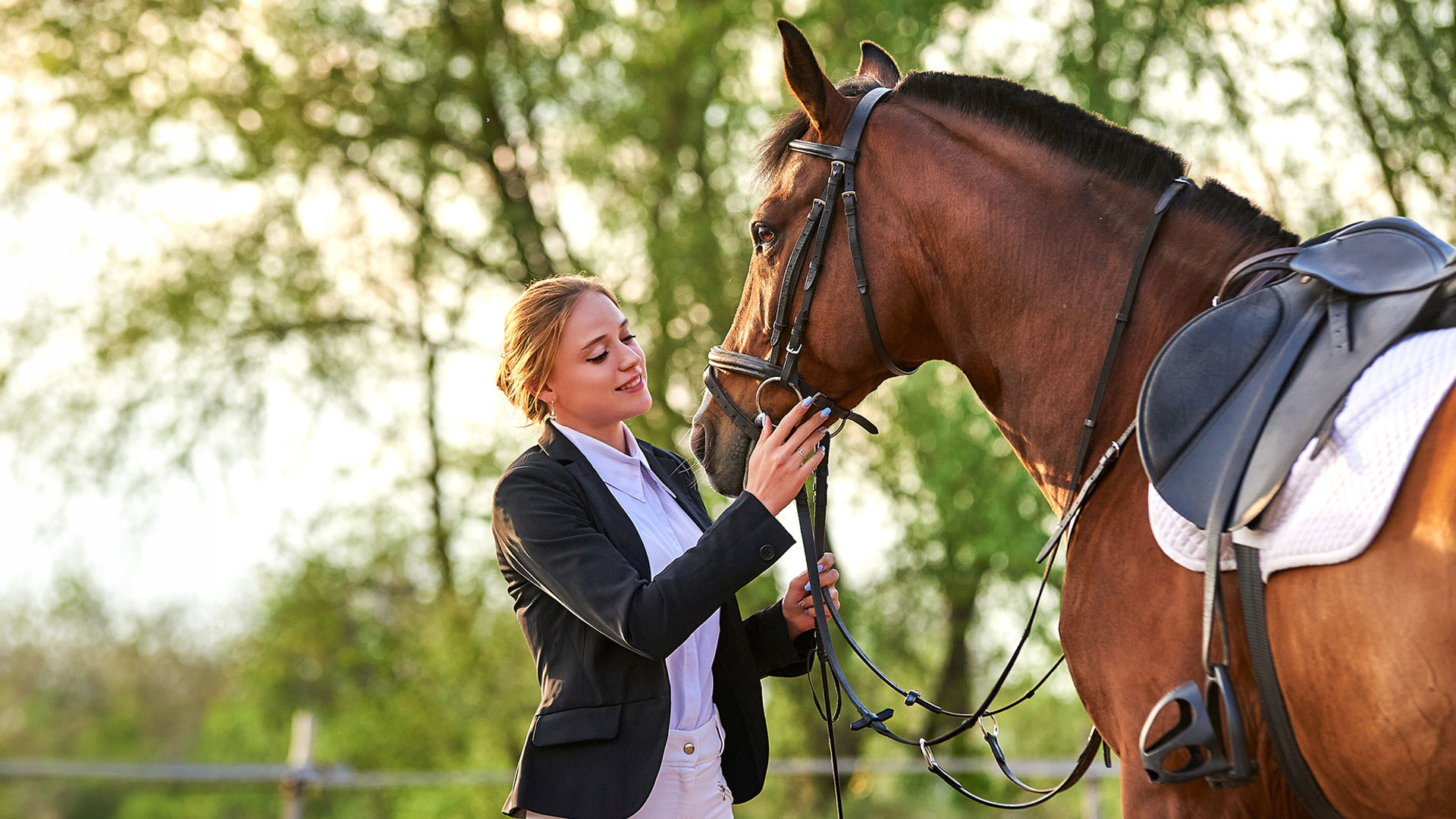 WB Equiline Horsewear