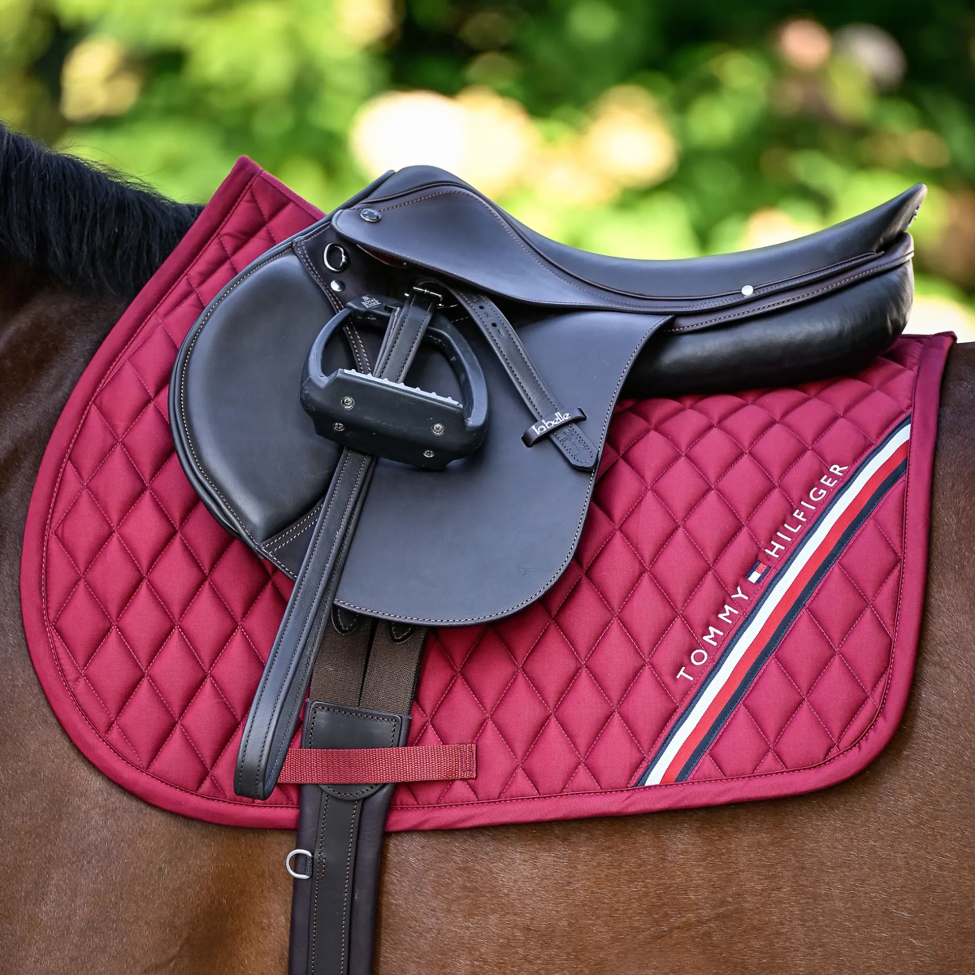 Tommy Hilfiger Equestrian Stanford Saddle Pad- REGATTA RED - Image 4