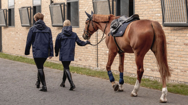 Silicone Seat Breeches