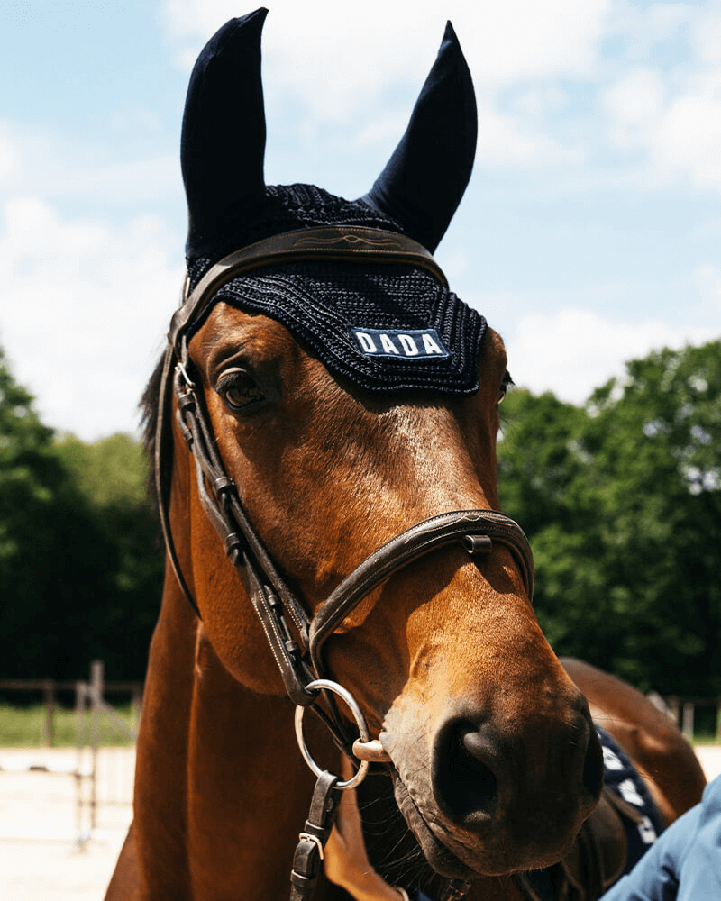 Dada Sport Polias Fly Veil in Navy