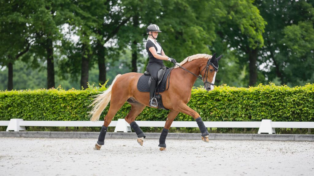 Tech Venice Dressage Plus Stirrups