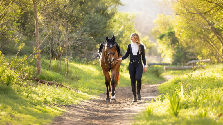 How do I care for my pony during a heatwave