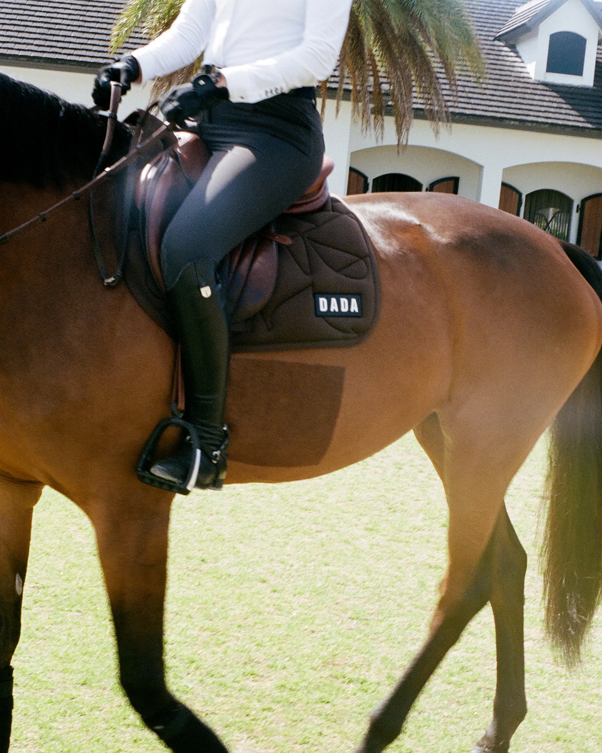 Dada Sport Fit For Fun Saddle Pad- CHOCOLATE - Image 2