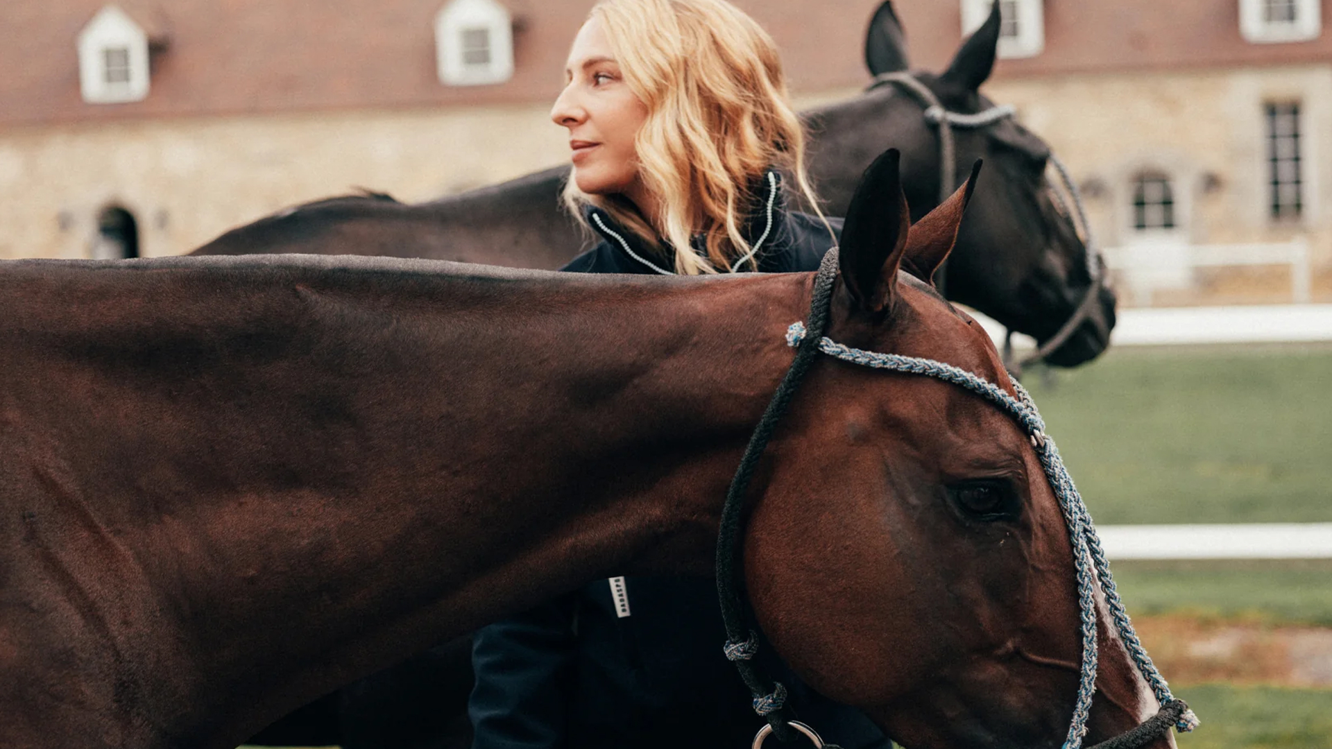 What is horsewear?